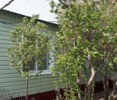 коттедж 54.3 кв м Октябрьская улица, 1