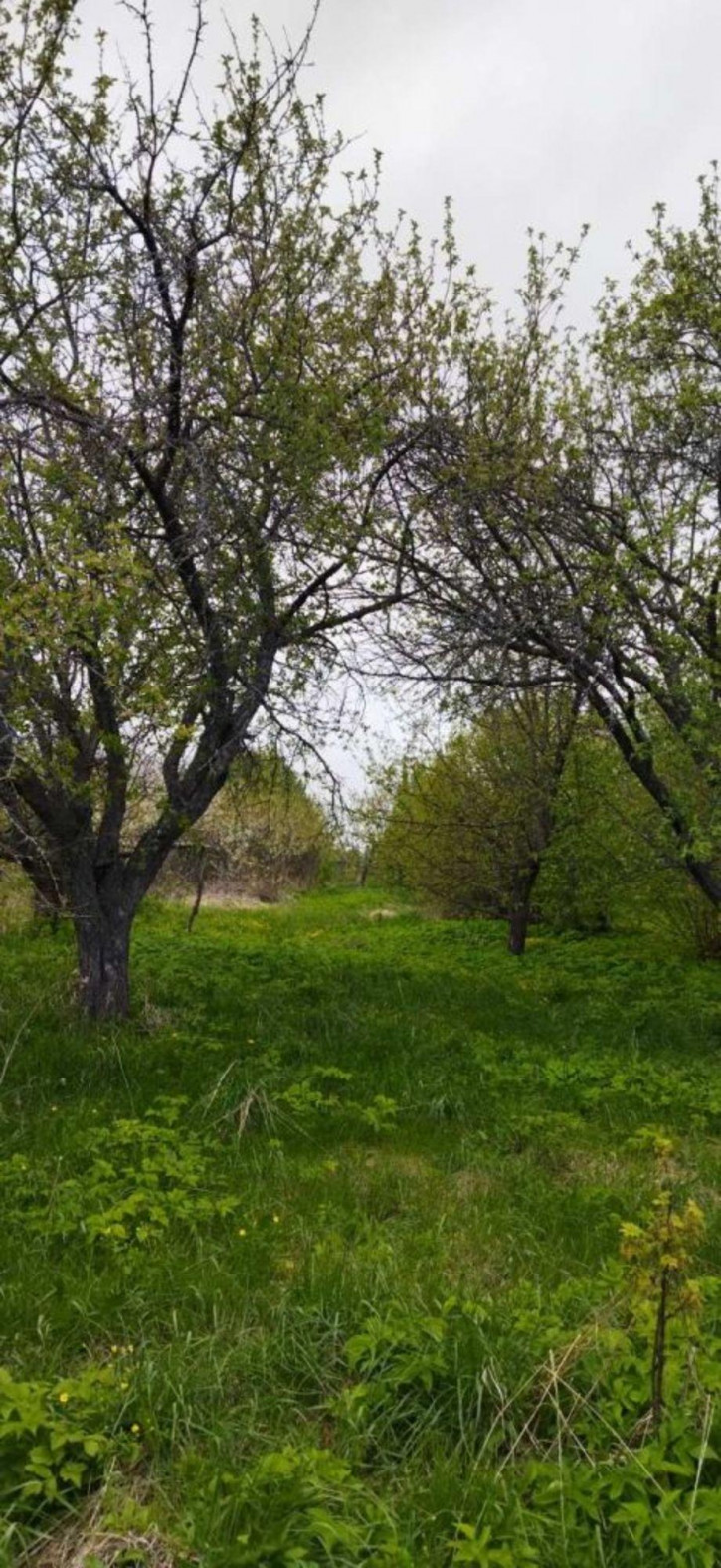 Земельный участок Заовражная, 22