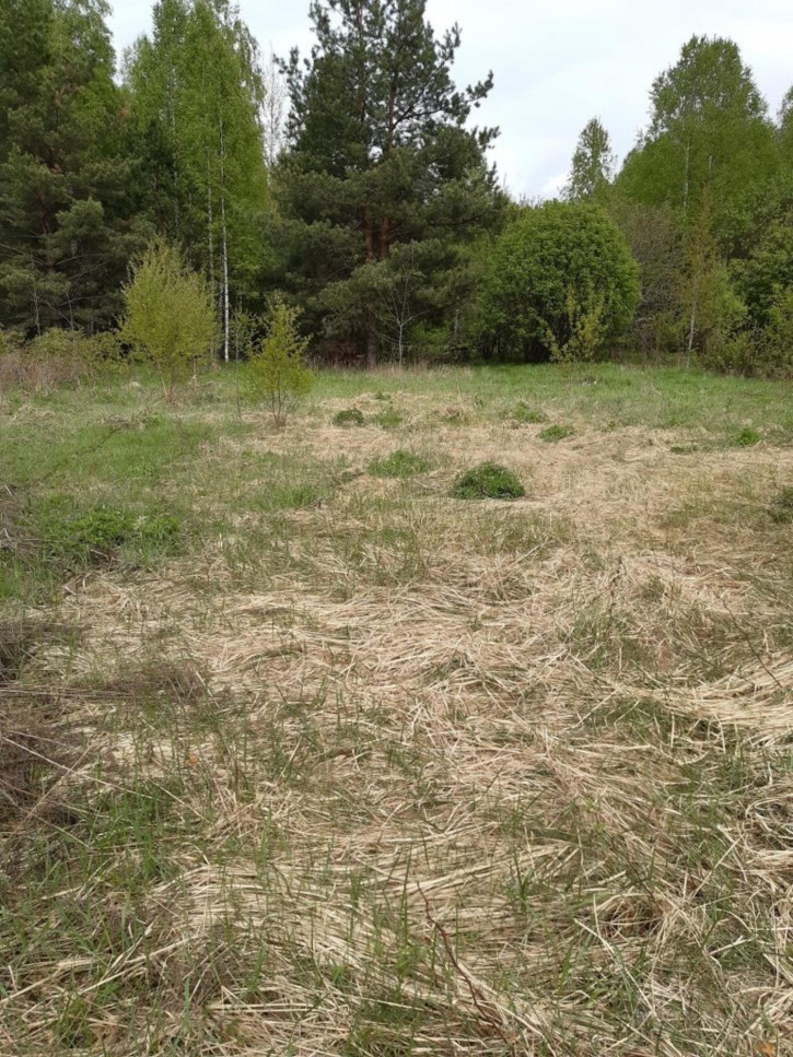 Земельный участок Трутнево д