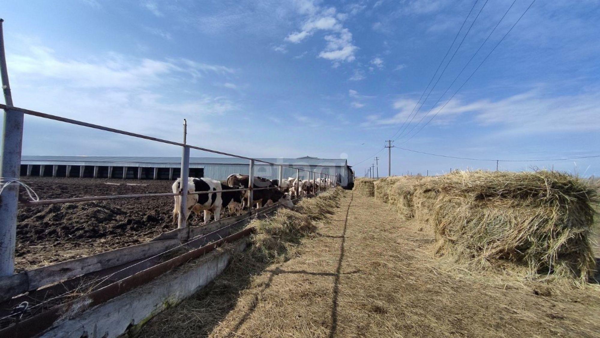 Купить производственную площадь за 10 202 500 рублей на Гавриловский муниципальный округ, Рабочая,139