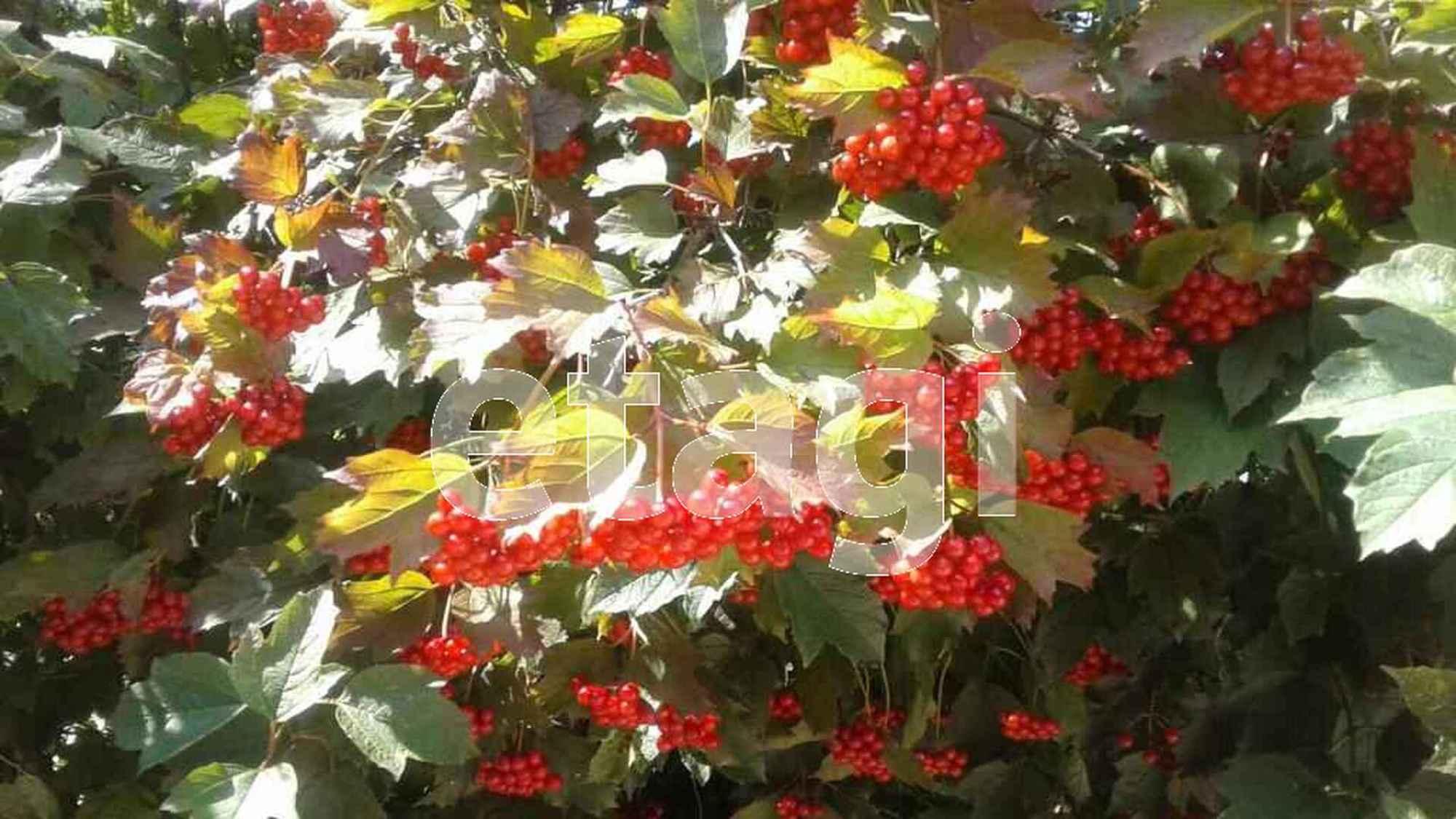 Купить дачу, дом, коттедж за 5 500 000 рублей на 3-я Садовая,