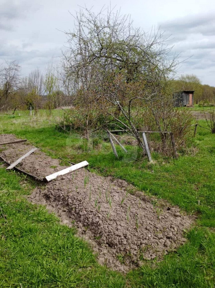 Земельный участок деревня Катунино, 2