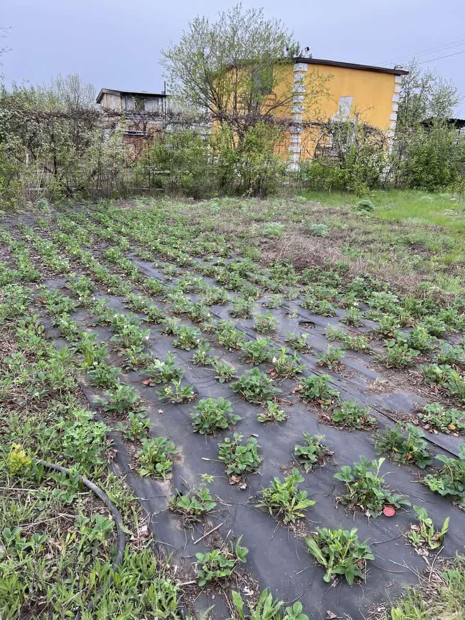 Купить дачу, дом, коттедж за 1 250 000 рублей
