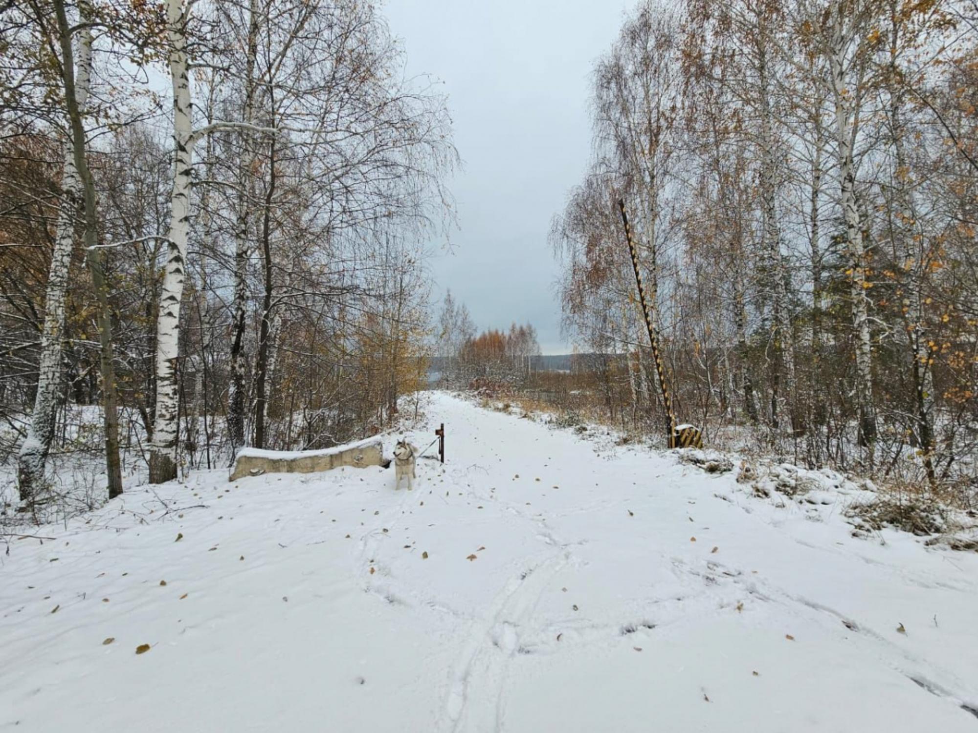 Купить землю, земельный участок за 15 000 000 рублей на п.Опушка