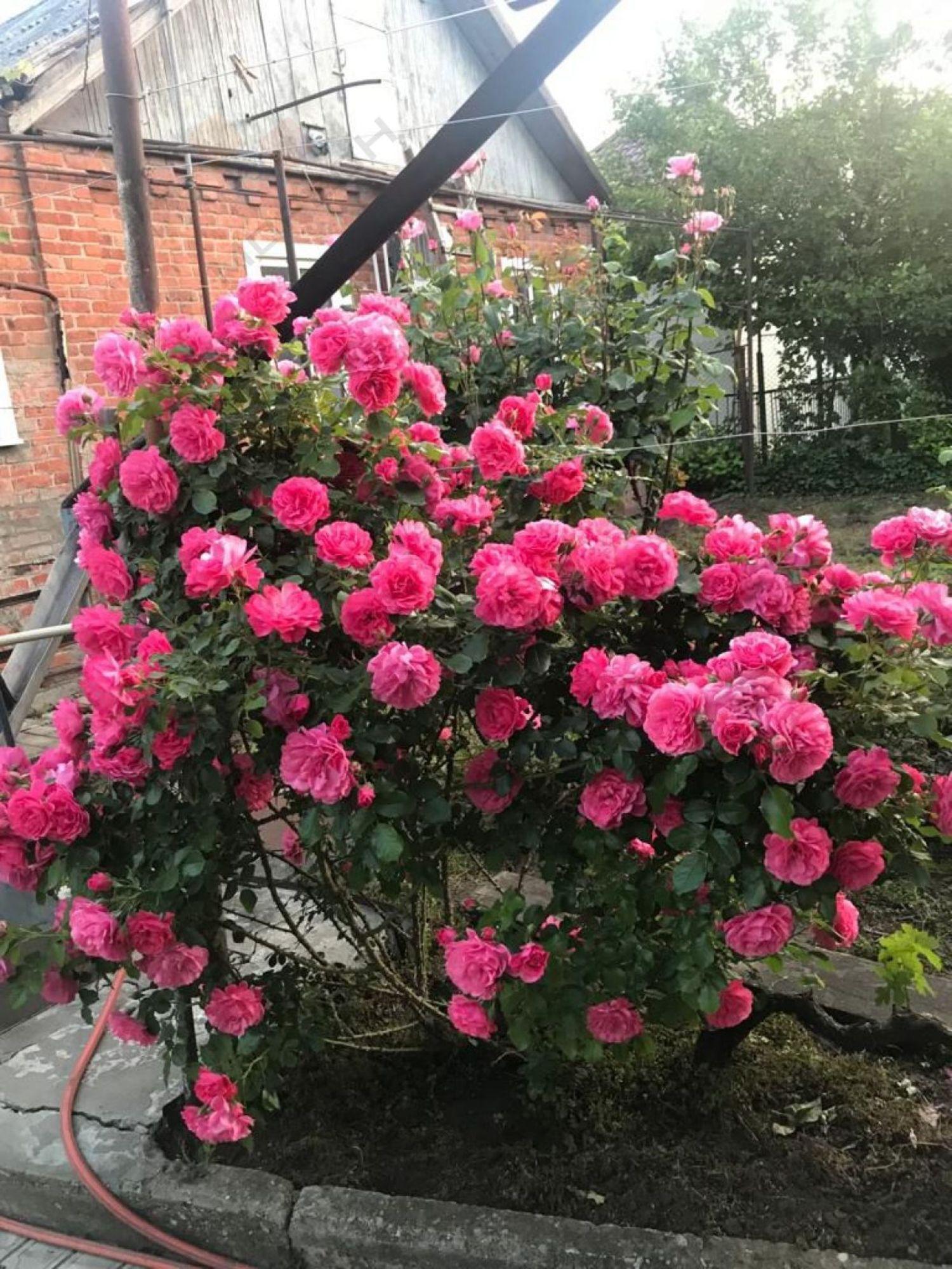 Купить дачу, дом, коттедж за 11 750 000 рублей на Сафонова ул, 60 Купить дачу, дом, коттедж за 11 750 000 рублей на Сафонова ул, 60