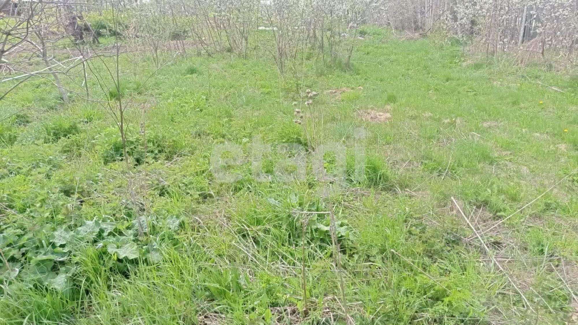 Купить дачу, дом, коттедж за 500 000 рублей на Кубань снт.