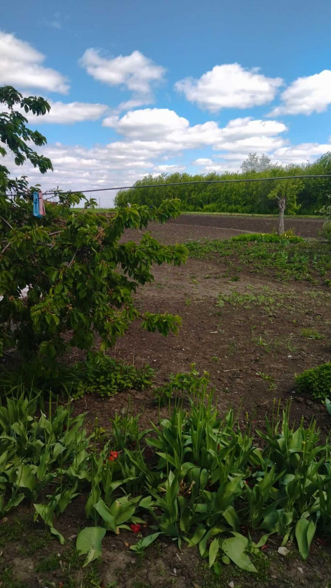 Купить дачу, дом, коттедж за 2 244 000 рублей на 42
