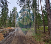 земля 20 сот Гоголево д