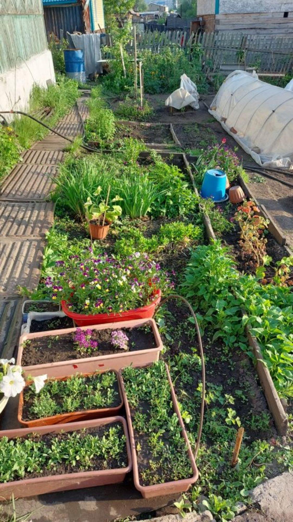 Купить дачу, дом, коттедж за 4 000 000 рублей на улица Космодемьянской
