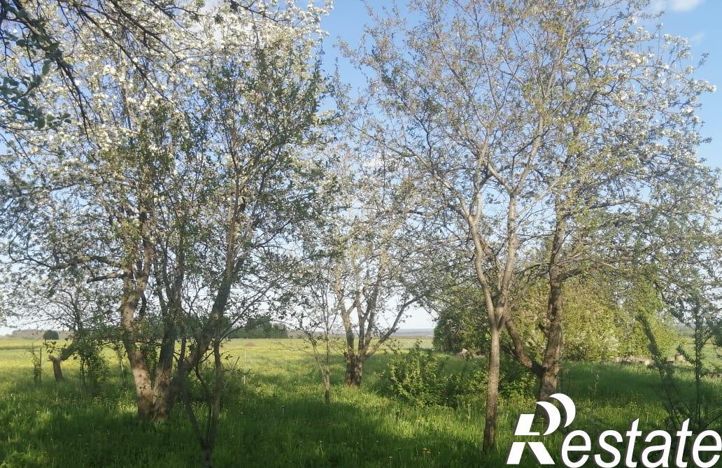 Купить землю, земельный участок за 1 050 000 рублей на Деревня Чирш-Хирлепы, улица Шоссейная, 15