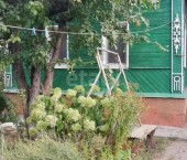 коттедж 46.2 кв м Амурская улица