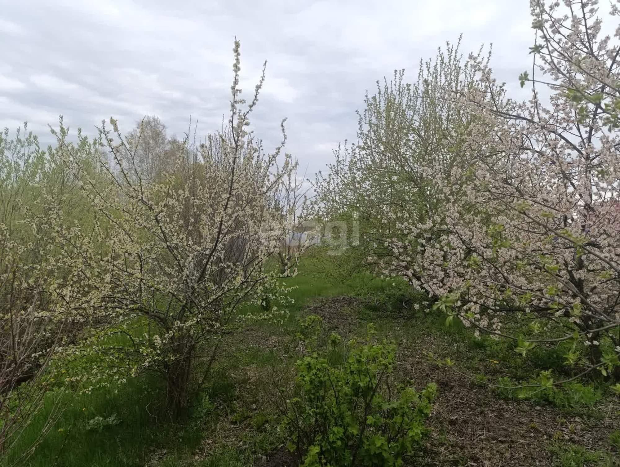 Купить дачу, дом, коттедж за 1 180 000 рублей на Ягодная,