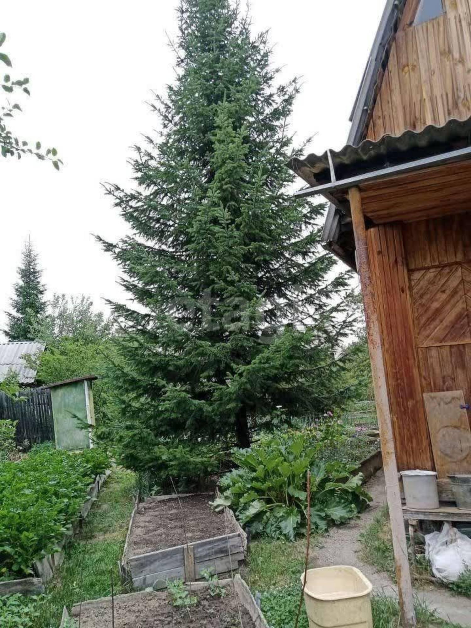 Купить дачу, дом, коттедж за 5 160 000 рублей на СТ Ясень, 132/133