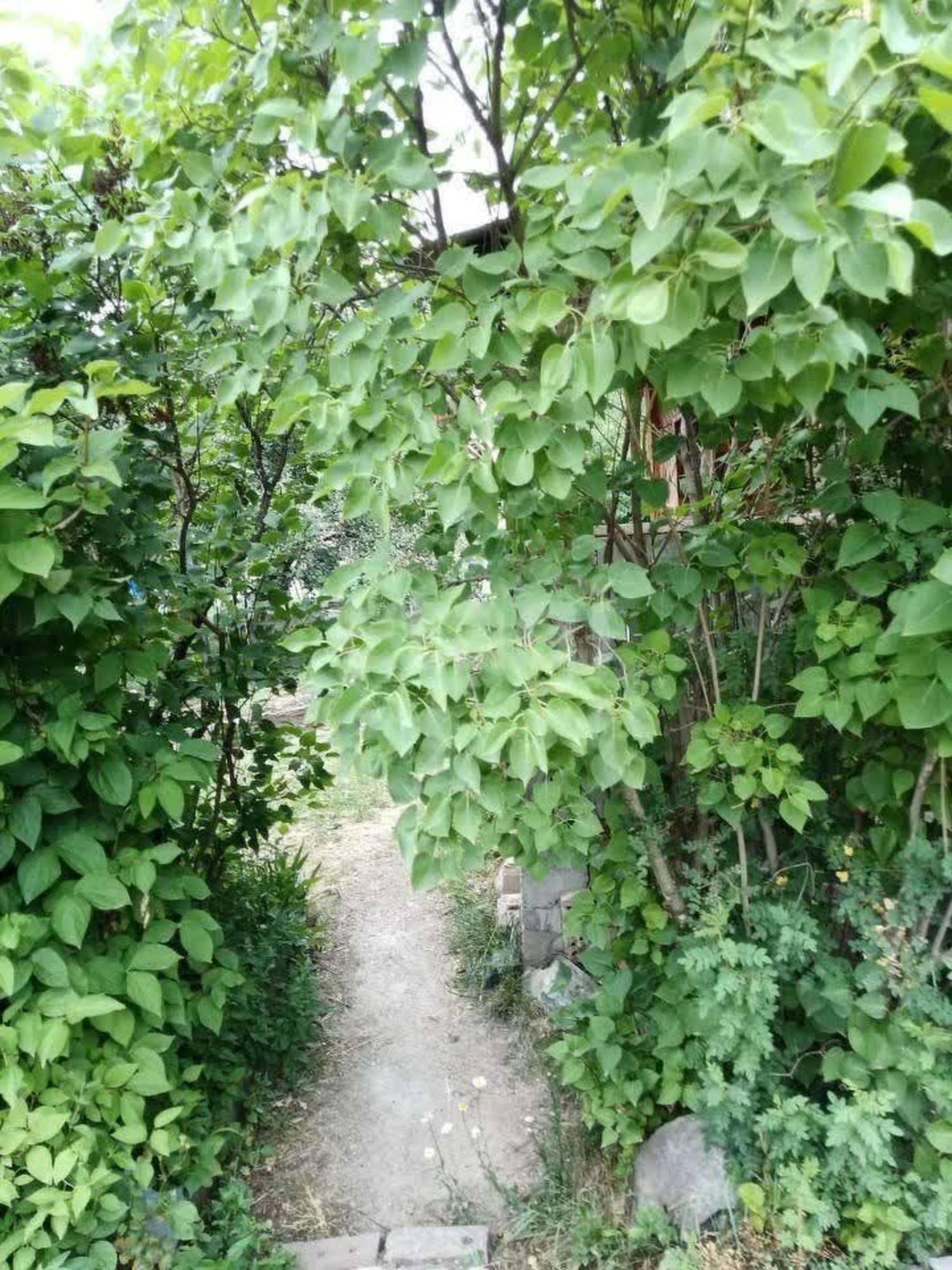 Купить дачу, дом, коттедж за 5 160 000 рублей на СТ Ясень, 132/133