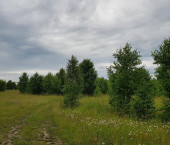земля 2560 сот деревня Березкино