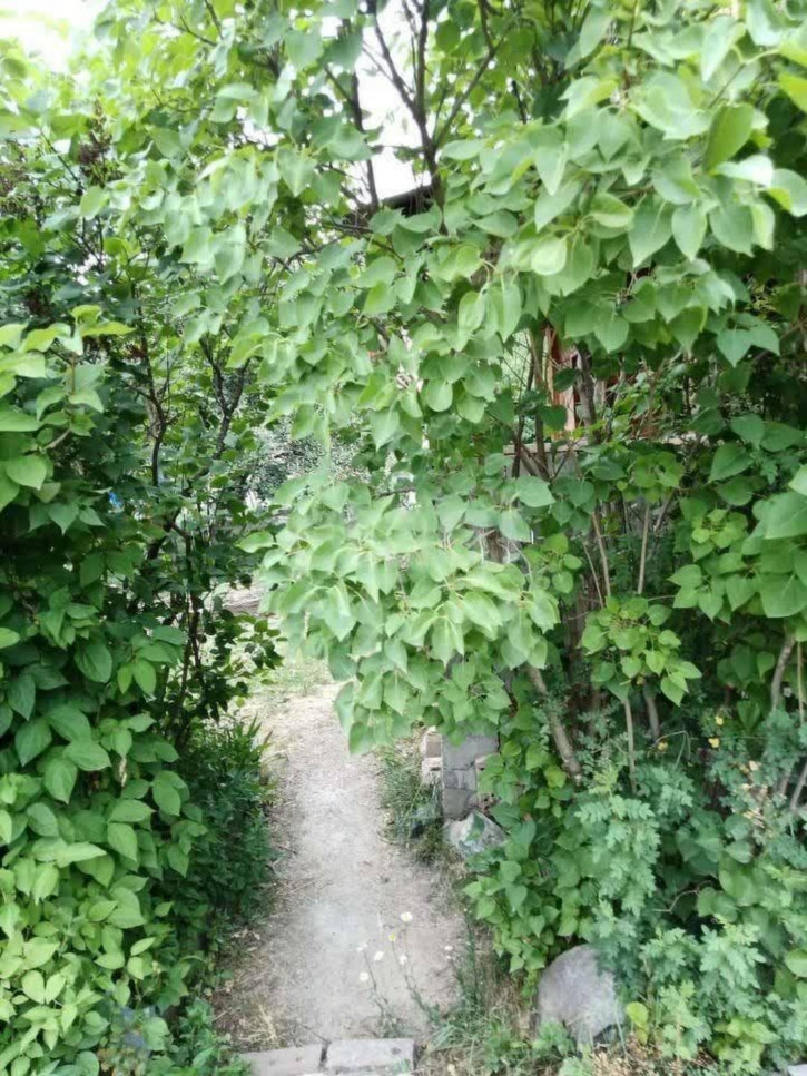 Коттедж/дом СТ Ясень, 132/133