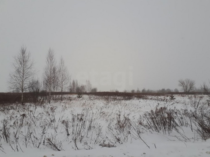 Земельный участок