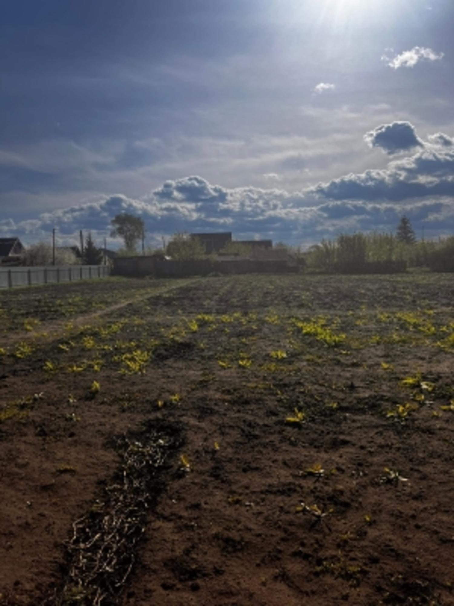 Купить офис, помещение под офис за 600 000 рублей на с Крестово Городище