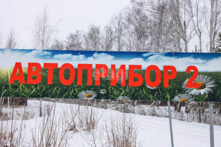 Коттедж/дом Рябиновая,