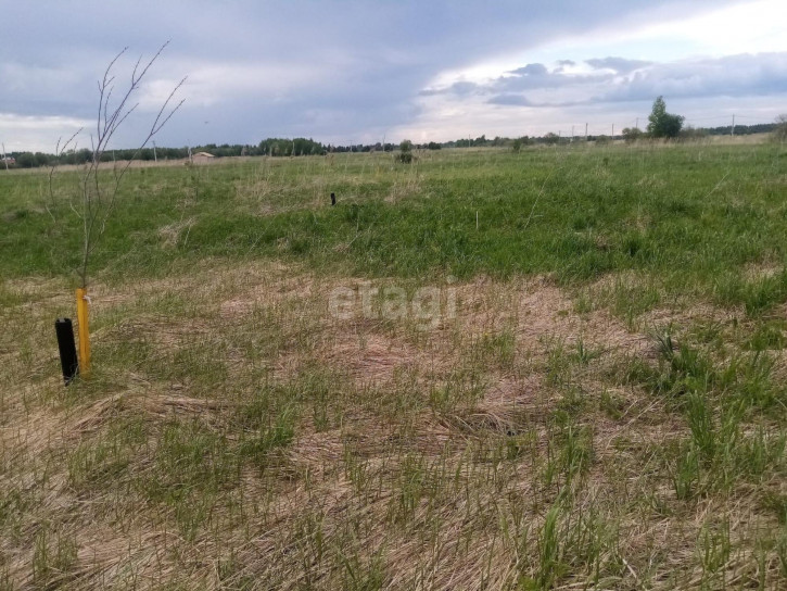 Земельный участок Анатолия Соколова,