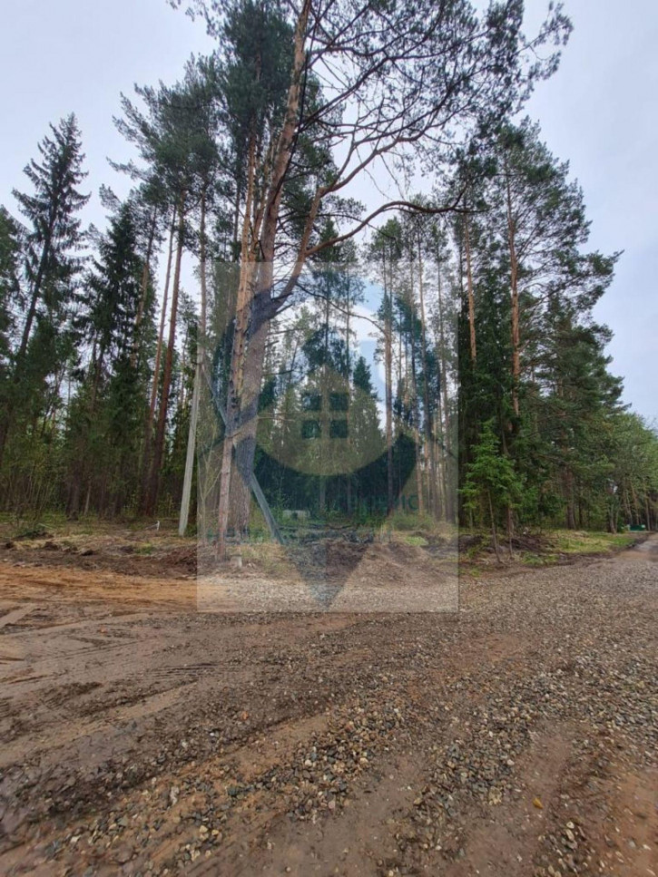 Земельный участок Гоголево д