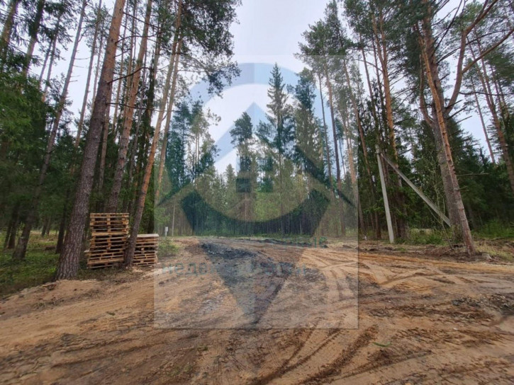 Земельный участок Гоголево д