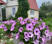 коттедж 36 кв м -