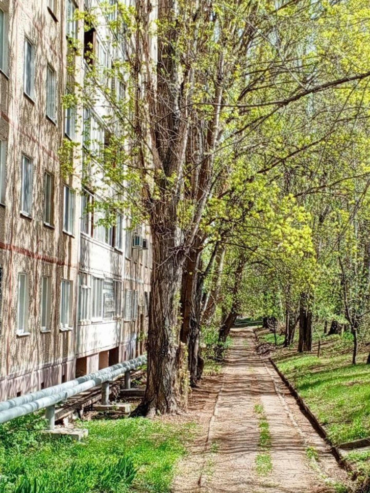 3-комн квартира Мамонтовой ул, 4