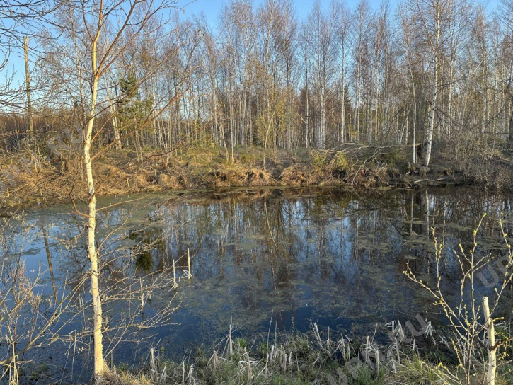 Земельный участок екатеринбург