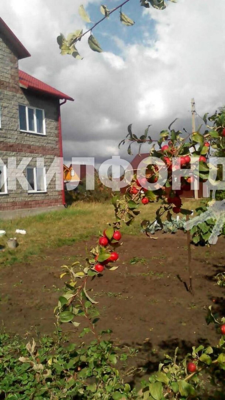 Коттедж/дом снт Боровинка