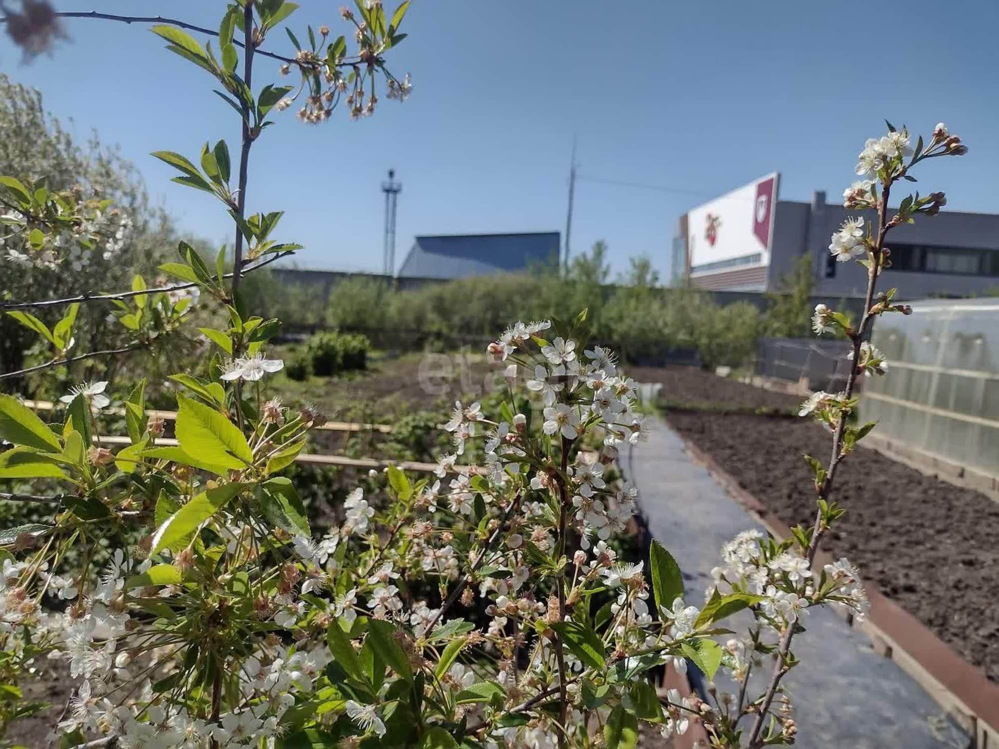 Купить дачу, дом, коттедж за 3 100 000 рублей на улица Гуськова
