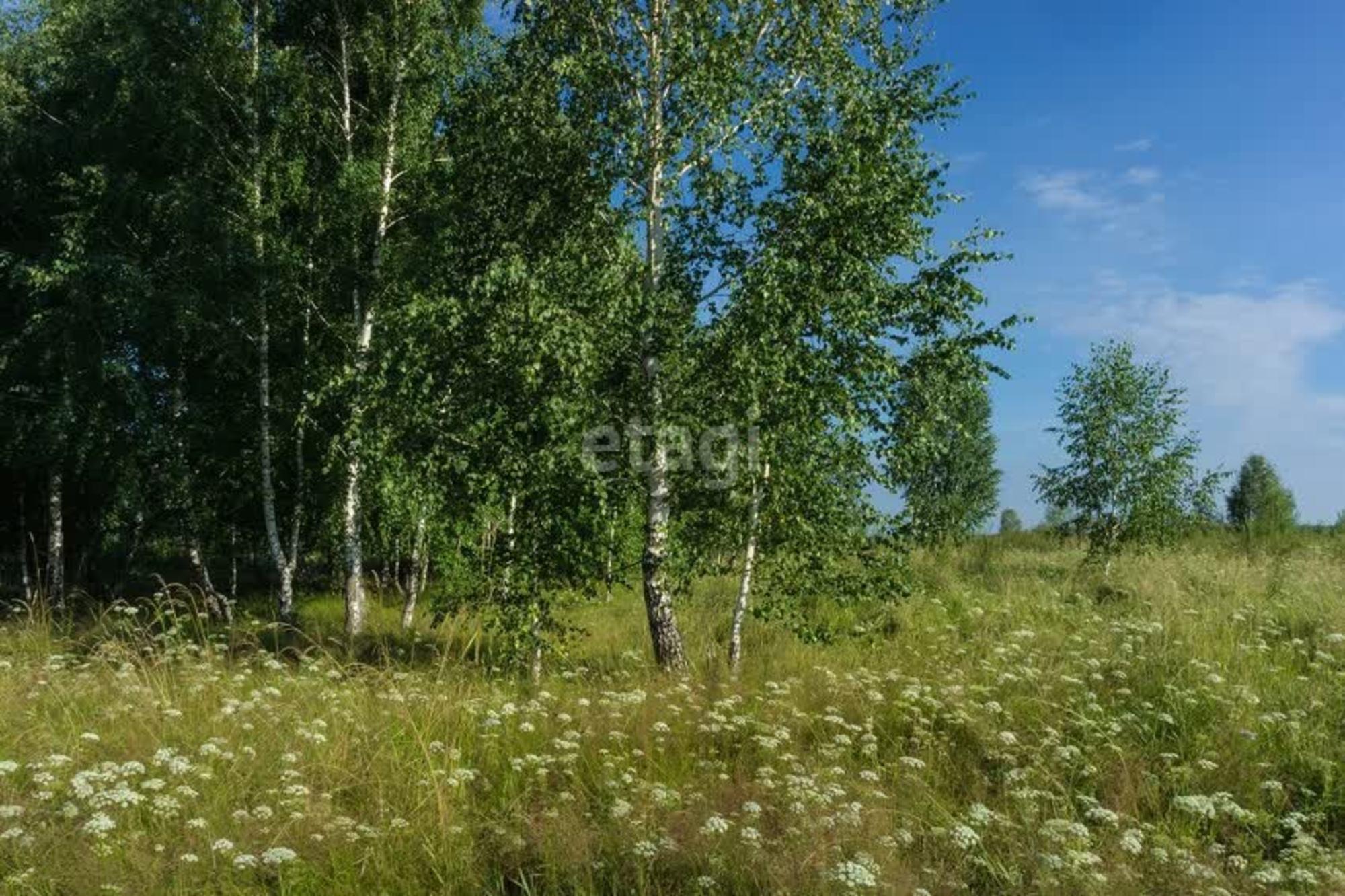 Купить землю, земельный участок за 610 000 рублей на Девятково