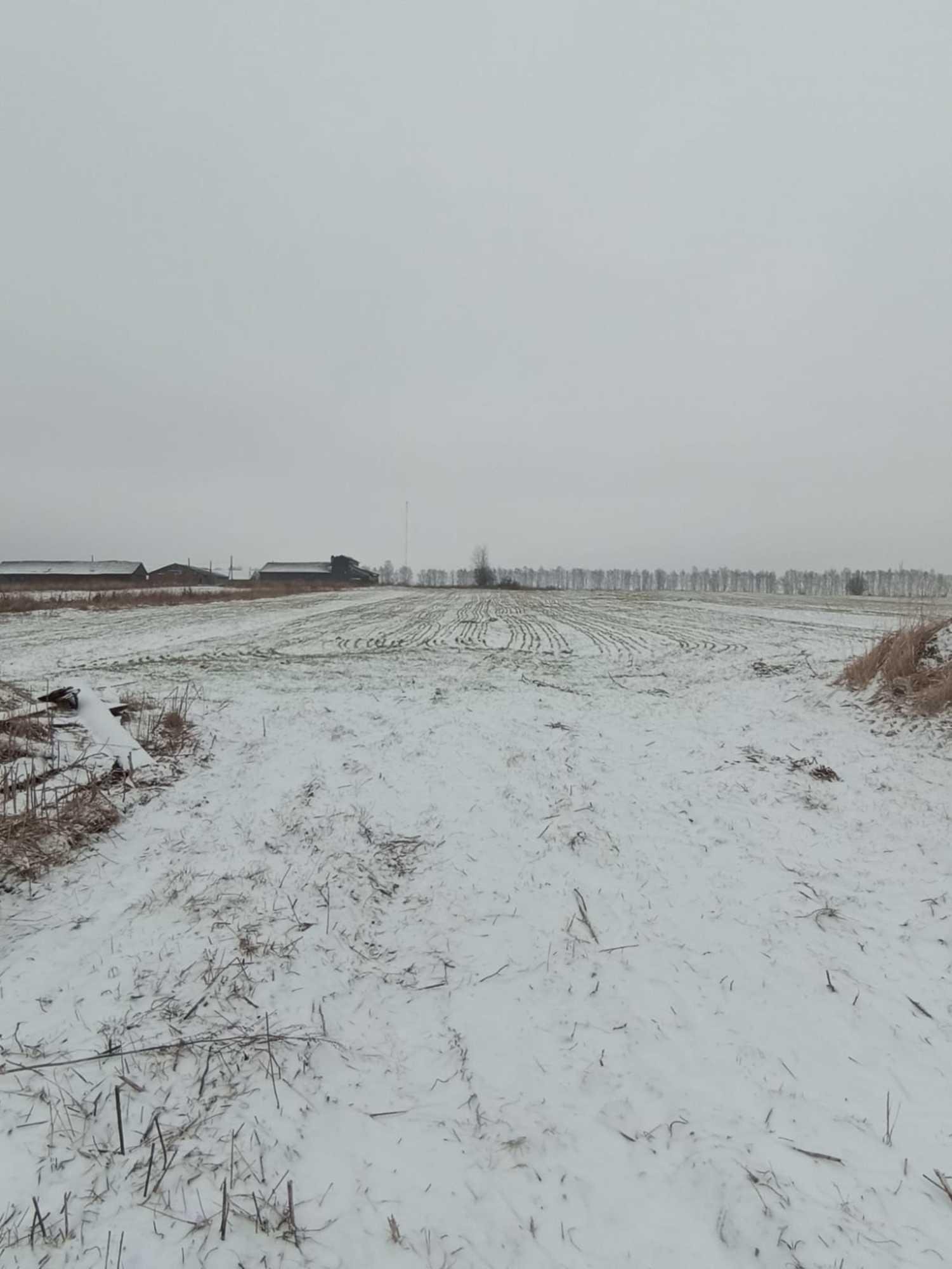 Купить дачу, дом, коттедж за 350 000 рублей на Центральная улица
