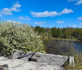 земля 413.95 сот село Ярково