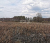 земля 16 сот Борки