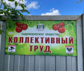коттедж 50 кв м пер. Чукотский 9-й