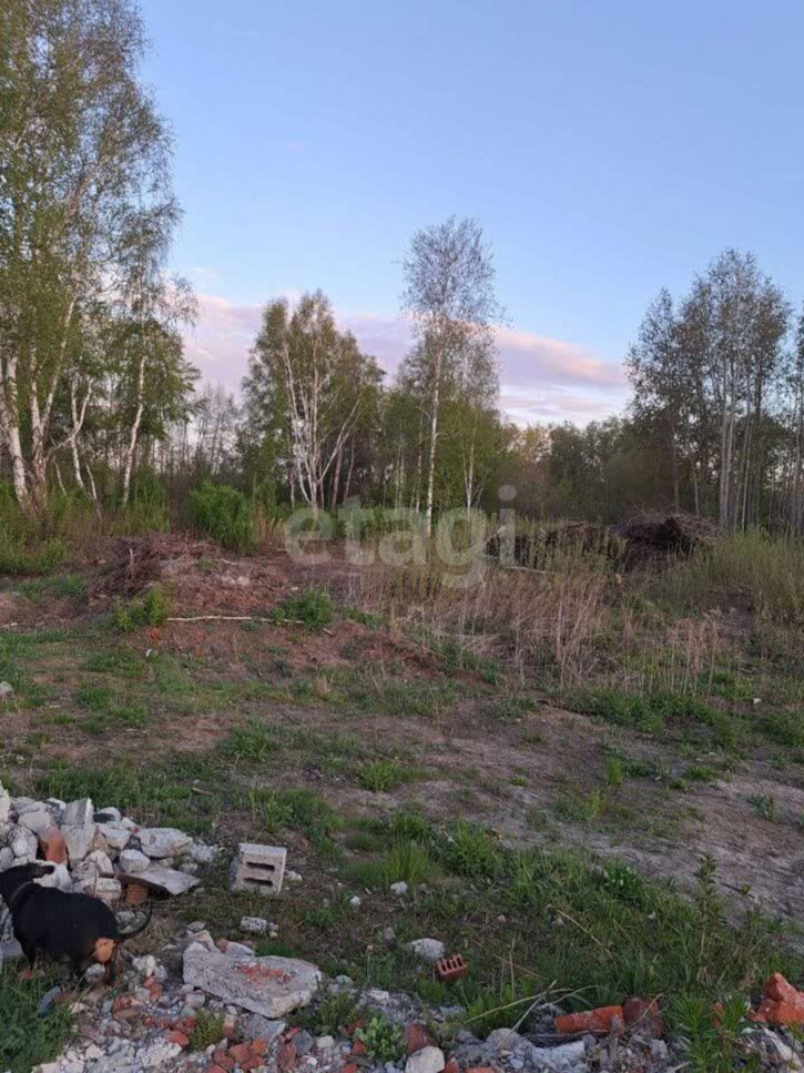 Земельный участок Звенящие кедры с/о