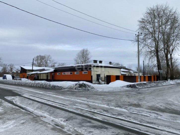 Торговое помещение село Новопаньшино, Новопаньшино с., Советская,1