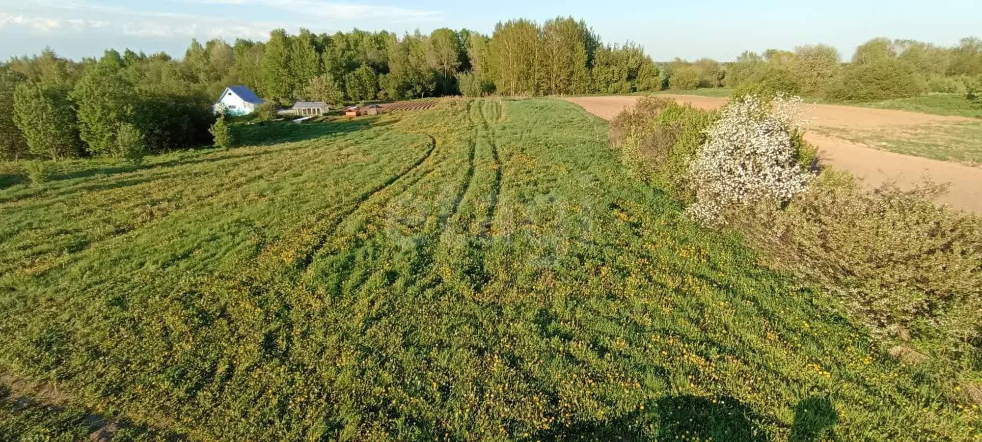 Купить землю, земельный участок за 350 000 рублей на посёлок Огарково, 47