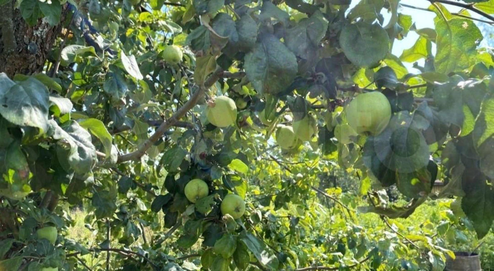 Купить дачу, дом, коттедж за 799 999 рублей на СТ Восточное