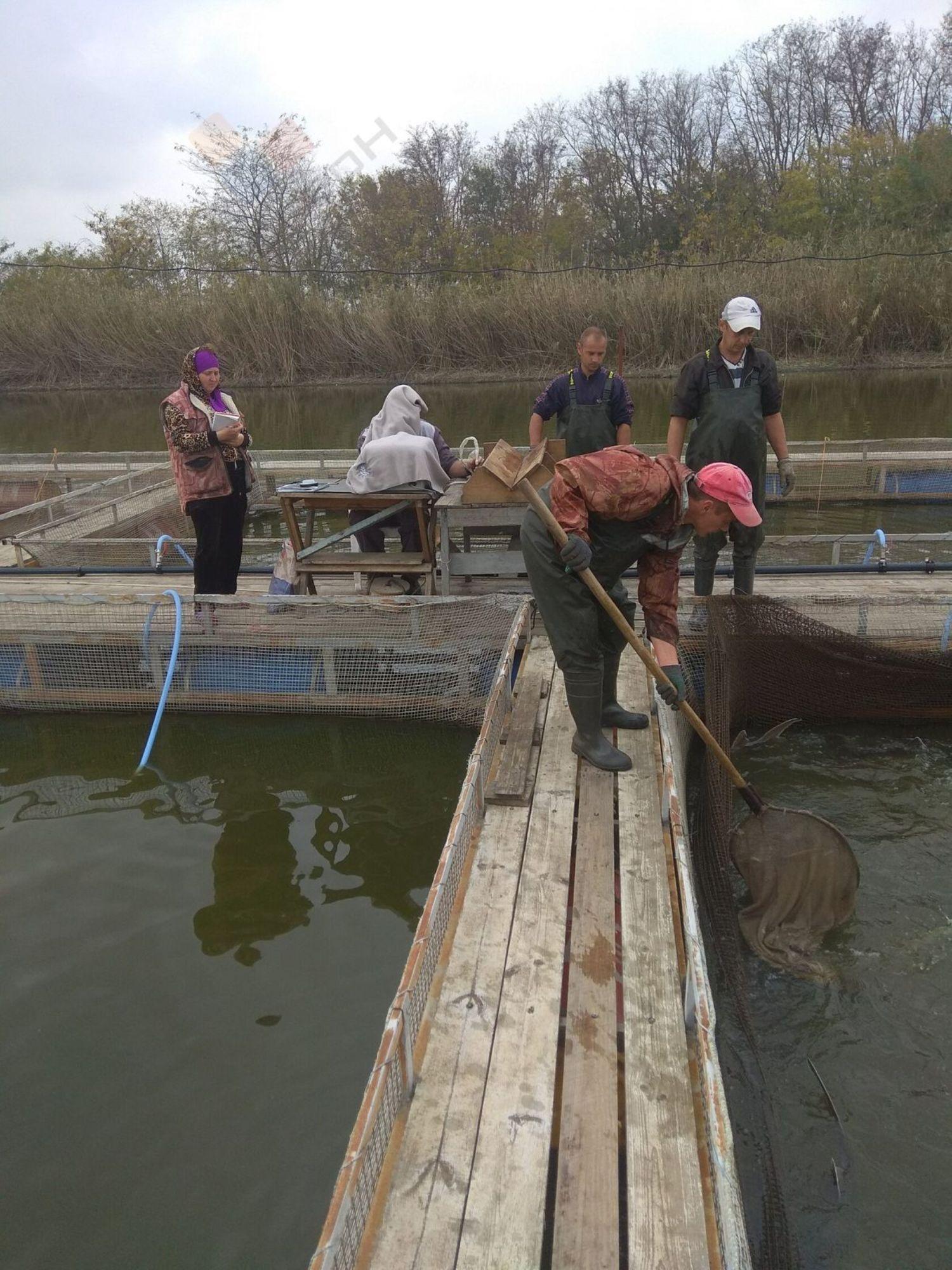 Купить производственную площадь за 95 000 000 рублей на село Первореченское, Советская улица, 55