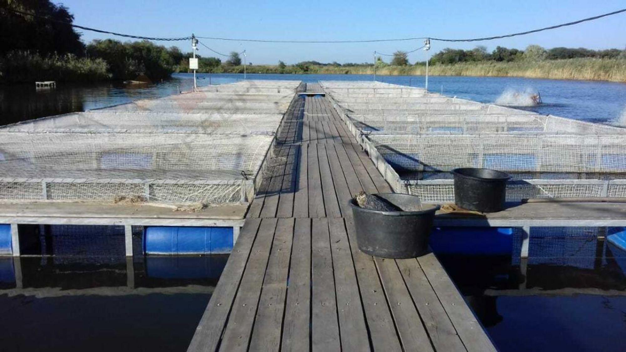 Купить производственную площадь за 95 000 000 рублей на село Первореченское, Советская улица, 55