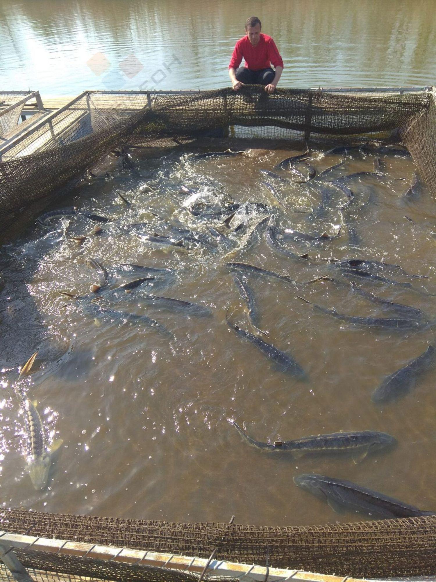 Купить производственную площадь за 95 000 000 рублей на село Первореченское, Советская улица, 55
