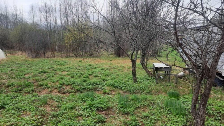 Коттедж/дом Кирово-Чепецкий район, сдт Строитель тер.