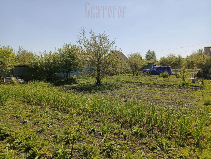 Земельный участок сдт Росток тер, 230