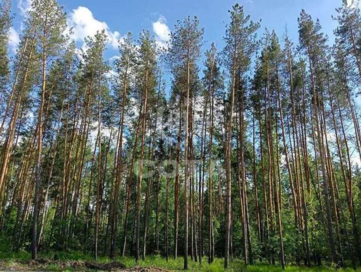 Коттедж/дом Захлебная