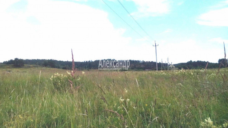Земельный участок Терву пос.
