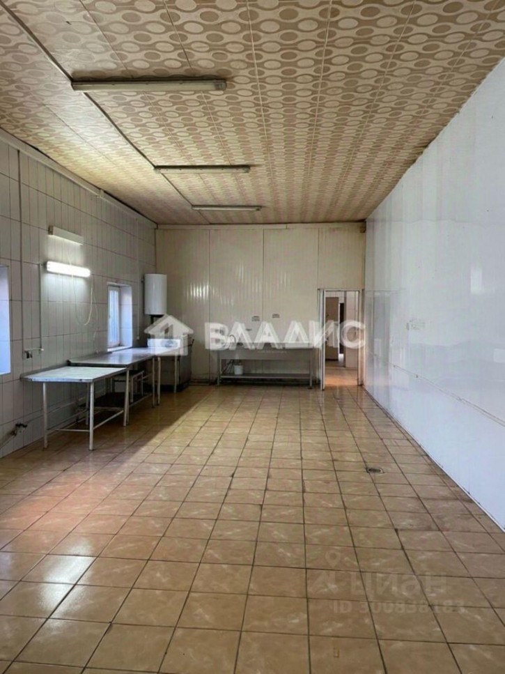 Производственное помещение улица Подполковника Емельянова, 225,  д. 225