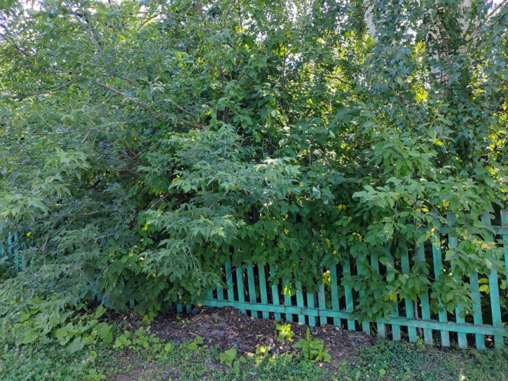 Коттедж/дом улица Калинина, 31,  д. 31