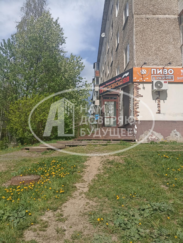 Торговое помещение улица Чапаева, 23/2